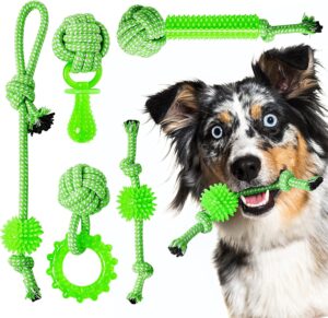 Top 10 Dogs Toys on Amazon in 2022