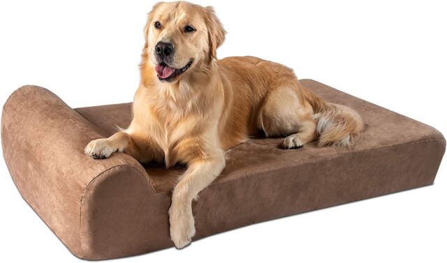 Top 10 Best Dog Bed for English Bulldog
