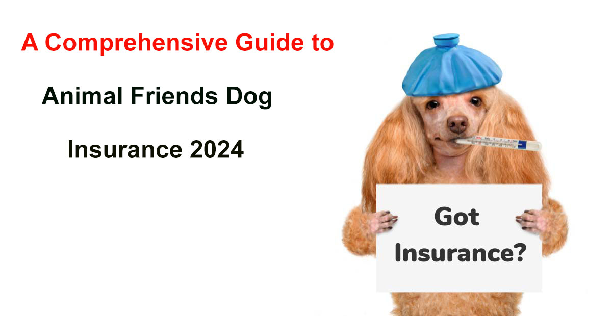 animal friends dog insurance