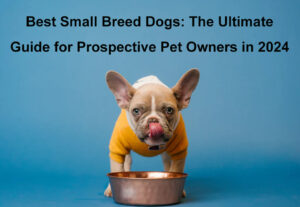 best small breed dogs