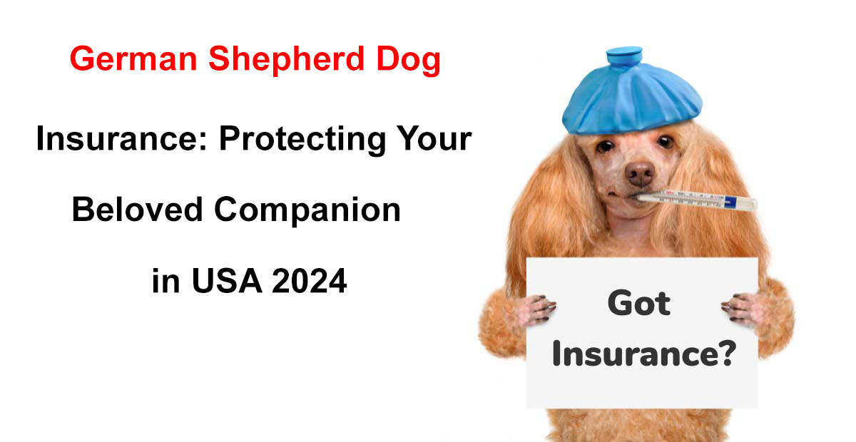 german shepherd dog insurance