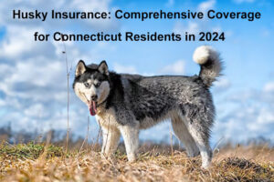 husky insurance